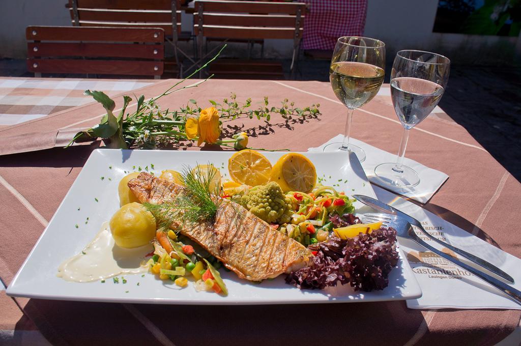 Hotel - Restaurant Kastanienhof Lauingen Exteriér fotografie